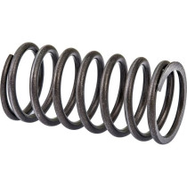 Valve spring outer 3x30x55mm 0050.505.080 / 95-0508